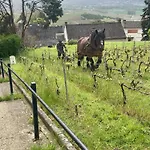 Winemaker's In - Terrace, Garden, Petanque And Free Private Parking Nyaraló Hautvillers