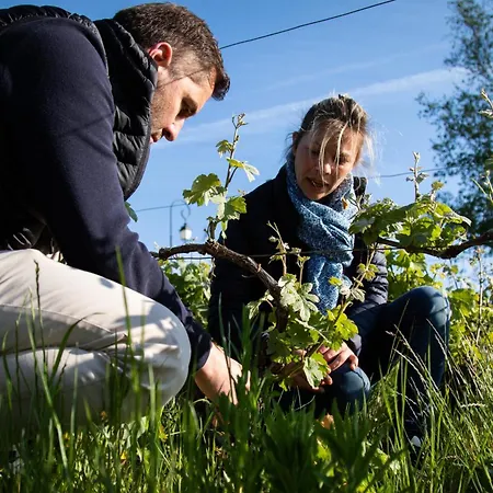 Chez Fernand Ac Terrace Garden Petanque Court & Private Free Parking * Hautvillers