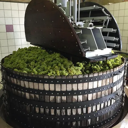 Feriehus Winemaker's In - Terrace, Garden, Petanque And Free Private Parking