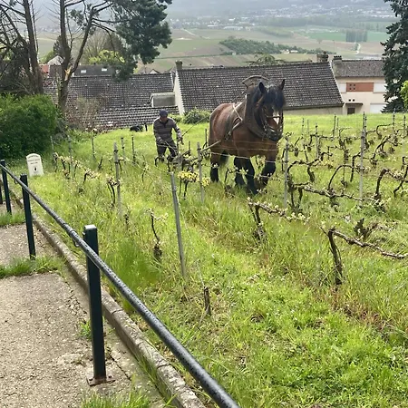 Chez Fernand Ac Terrace Garden Petanque Court & Private Free Parking Prázdninový dům Hautvillers