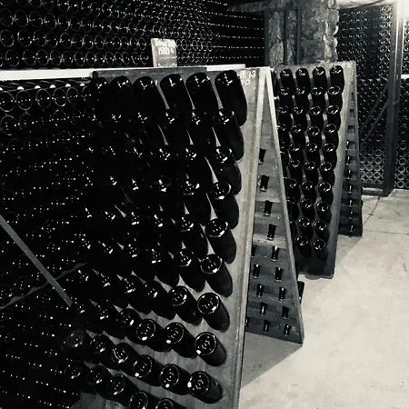Winemaker's In - Terrace, Garden, Petanque And Free Private Parking * Hautvillers