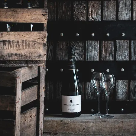Feriehus Winemaker's In - Terrace, Garden, Petanque And Free Private Parking
