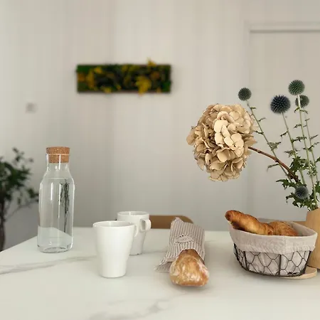 Chez Fernand Ac Terrace Garden Petanque Court & Private Free Parking Nyaraló Hautvillers