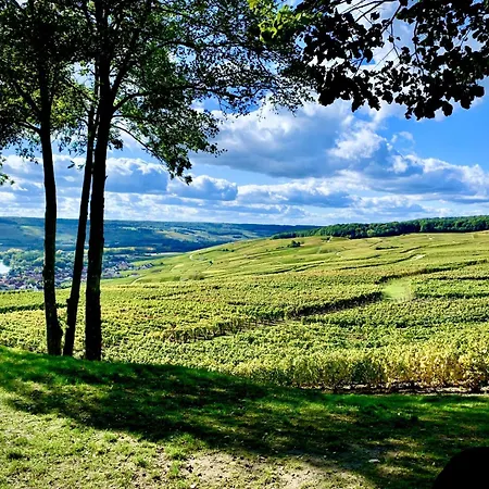 Winemaker's In - Terrace, Garden, Petanque And Free Private Parking Feriehus *