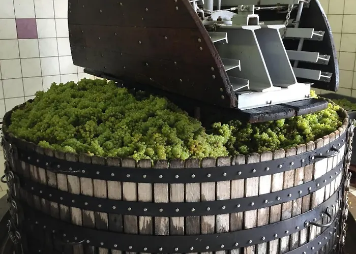 Σπίτι διακοπών Winemaker's In - Terrace, Garden, Petanque And Free Private Parking