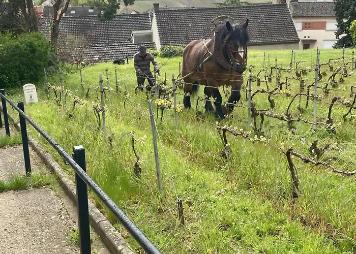 Winemaker's In - Terrace, Garden, Petanque And Free Private Parking Σπίτι διακοπών Hautvillers