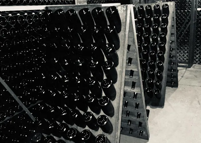 Winemaker's In - Terrace, Garden, Petanque And Free Private Parking * Hautvillers