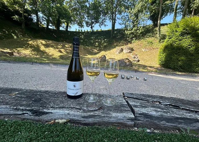 Winemaker's In - Terrace, Garden, Petanque And Free Private Parking *