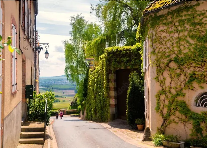 Winemaker's In - Terrace, Garden, Petanque And Free Private Parking *