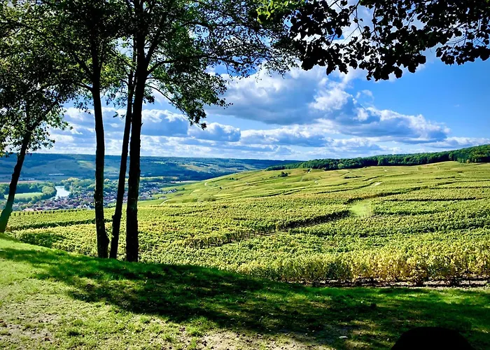 Winemaker's In - Terrace, Garden, Petanque And Free Private Parking Σπίτι διακοπών *